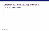 AP Biology Chemical Building Blocks  3.4 Proteins.