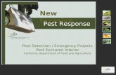 Pest Detection / Emergency Projects Pest Exclusion Interior California Department of Food and Agriculture New Invasive Pest Response.
