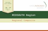 MIDSOUTH Region Regional Composite REGIONAL DATA REPORT JAN – JUN 2014 vs. 2013.