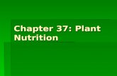 Chapter 37: Plant Nutrition. Where does mass come from?  Mineral nutrients-- essential elements  minimal contribution to mass  Water – 80-85% of herbaceous.