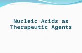 Nucleic Acids as Therapeutic Agents. Many human disorders often results from the overproduction of a normal protein. Single stranded oligonucleotides.