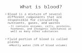 What is blood? Blood is a mixture of several different components that are responsible for circulating nutrients, gases, and wastes –It contains enzymes,