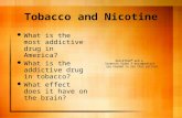 Tobacco and Nicotine What is the most addictive drug in America? What is the addictive drug in tobacco? What effect does it have on the brain?