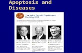 Apoptosis and Diseases. 1.Concept 2.Apoptotic process and changes 3.Key molecules and Major pathways 4.Techniques to detect apoptosis 5.Apoptosis-related.