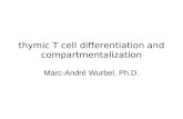thymic T cell differentiation and compartmentalization Marc-André Wurbel, Ph.D.