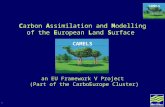 1 CAMELS Carbon Assimilation and Modelling of the European Land Surface an EU Framework V Project (Part of the CarboEurope Cluster) CAMELS.