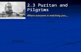 2.3 Puritan and Pilgrims Where everyone is watching you….