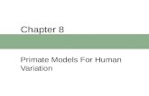 Chapter 8 Primate Models For Human Variation. Chapter Outline  Human Origins and Behavior  Brain and Body Size  Language  Primate Cultural Behavior.
