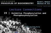 Lecture Connections 19 | Oxidative Phosphorylation and Photophosphorylation © 2009 Jim-Tong Horng.