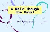 A Walk Though the Park! BY: Kara Rapp. The Baby Years When I was a baby, I was a purple crying baby. I cried for six months. We also had a two dogs, three.