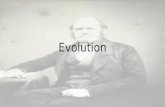 Evolution. Breaking Down the Definitions Honors 1.Evolution 2.Natural selection 3.Adaptation 4.Fitness 5.Convergent evolution 6.Divergent evolution 7.Adaptive.