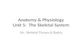 Anatomy & Physiology Unit 5: The Skeletal System 5A: Skeletal Tissues & Basics.