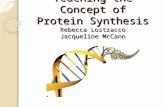 Teaching the Concept of Protein Synthesis Rebecca Lostracco Jacqueline McCann.
