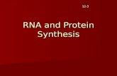 RNA and Protein Synthesis 12-3. Genes Genes are coded DNA instruction that control the production of proteins within the cell Genes are coded DNA instruction.