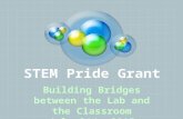 STEM Pride Grant Building Bridges between the Lab and the Classroom July 24 th, 2015.