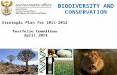 BIODIVERSITY AND CONSERVATION Strategic Plan for 2011-2012 Portfolio Committee April 2011.