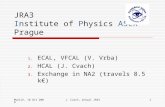 Munich, 18 Oct 2006J. Cvach, annual JRA31 JRA3 Institute of Physics ASCR Prague 1.ECAL, VFCAL (V. Vrba) 2.HCAL (J. Cvach) 3.Exchange in NA2 (travels 8.5.