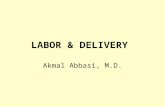 LABOR & DELIVERY Akmal Abbasi, M.D.. Prenatal Care Prenatal care includes: 1. Complete history (medical, obstetrical, psychosocial) 2. Complete physical.