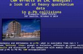 CNM effects at LHC energies: a look at at heavy quarkonium data in p-Pb collisions 1 E. Scomparin (INFN-Torino) INT Seattle, October 8 2014  Charmonia.
