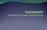 The Science of Plant Classification. GOALS of TAXONOMY IDENTIFY all members of the plant kingdom NAME all plants ARRANGE plants into a HIERARCHY that.