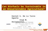 Can Biofuels be Sustainable in an Unsustainable Agriculture? Daniel G. De La Torre Ugarte Chad M. Hellwinckel Chad M. Hellwinckel American Chemical Society.