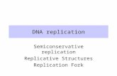 DNA replication Semiconservative replication Replicative Structures Replication Fork.