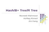 Hash/B+ Tree/R Tree Muneeb Mahmood Ashfaq Ahmed Jim Kang.
