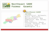 Northeast SARE serves Connecticut, Delaware, Maine, Maryland, Massachusetts, New Hampshire, New Jersey, New York, Pennsylvania, Rhode Island, Vermont,