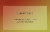 CHAPTER 3 DATABASES AND DATA WAREHOUSES. 2 OPENING CASE STUDY Chrysler Spins a Competitive Advantage with Supply Chain Management Software Chapter 2 –