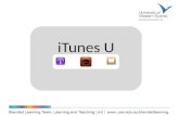 ITunes U. Your iTunes U Contact Mark Hodson Digital Media Coordinator Blended Learning Team T: 5174 | E: m.hodson@uws.edu.aum.hodson@uws.edu.au.