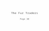 The Fur Traders Page 30. Hunting While natives hunted for food and clothing the number of fur bearing animals remained high.