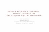 Resource efficiency indicators: material resource use and ecosystem capital maintenance Jean-Louis Weber Special Adviser Economic-Environmental Accounting.
