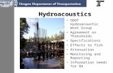 Hydroacoustics ODOT Hydroacoustic Work Group Agreement on Thresholds Specifications Effects to fish Attenuation Monitoring and Reporting Information needs.