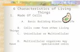 6 Characteristics of Living Things 1. Made Of Cells A. Basic Building Blocks of Life B. Cells come from other Living Things C. Unicellular or Multicellular.