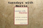 Tuesdays with Morrie. The Curriculum - The Syllabus  Mitch Albom, gives a brief introductory explanation of his weekly meetings each Tuesday with Morrie,