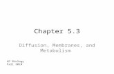 Chapter 5.3 Diffusion, Membranes, and Metabolism AP Biology Fall 2010.
