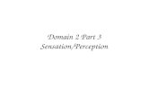 Domain 2 Part 3 Sensation/Perception. Sensation v. Perception Sensation: activation of our senses (eyes, ears, etc.) Perception: the process of understanding.