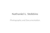Nathaniel L. Stebbins Photography and Documentation.