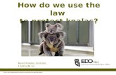 How do we use the law to protect koalas? Revel Pointon, Solicitor, LAWJAM 16 Photo:  /.