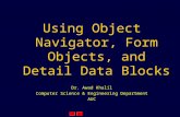 Using Object Navigator, Form Objects, and Detail Data Blocks Dr. Awad Khalil Computer Science & Engineering Department AUC 1.