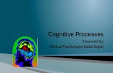 Presented By Clinical Psychologist Sadaf Sajjad. Perception, thinking, problem solving, memory, language and attention The collection of mental processes.