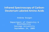 Andrew Durgan Department of Chemistry & Biochemistry Gonzaga University September 24, 2009.