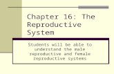 Chapter 16: The Reproductive System Students will be able to understand the male reproductive and female reproductive systems.