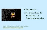 Chapter 5 The Structure & Function of Macromolecules Slide show modified from Kim Foglia @  .