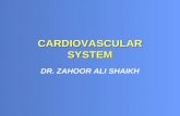 CARDIOVASCULAR SYSTEM DR. ZAHOOR ALI SHAIKH. Structure of the Heart.