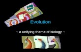 Evolution ~ a unifying theme of biology ~. Introduction to Evolution What does biological “evolution” mean? –Change in organisms over time How does this.