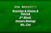 Its GRASSY!! Brantley & Alaina & Patrick 2 nd Block Honors Biology Ms. Cox.