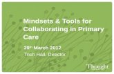 Mindsets & Tools for Collaborating in Primary Care 29 th March 2012 Trish Hall, Director.