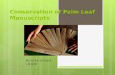Conservation of Palm Leaf Manuscripts By: Erika Ichihara LIS 620.
