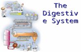 The Digestive System. Provide the body w/nutrients, water and electrolytes. The organs of this system are responsible for: Food ingestion Digestion.